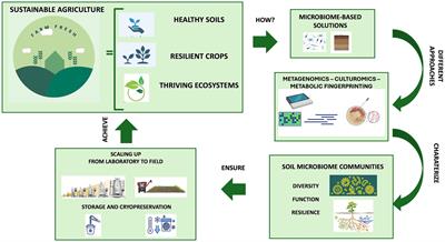 Culturomics- and metagenomics-based insights into the soil microbiome preservation and application for sustainable agriculture